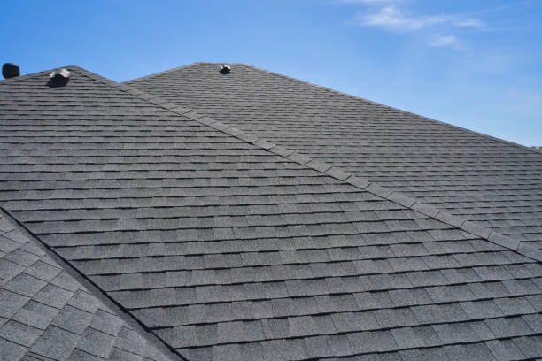 Best Skylight Installation and Repair  in Moulton, AL